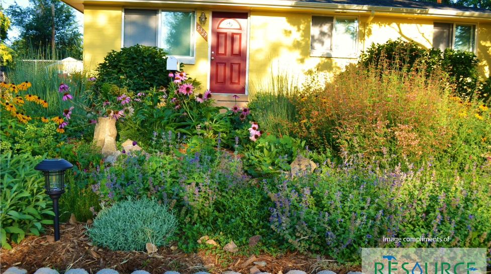 A water-efficient garden