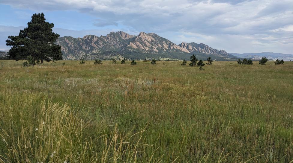 View of The Flatirons from Flatirons Vista North