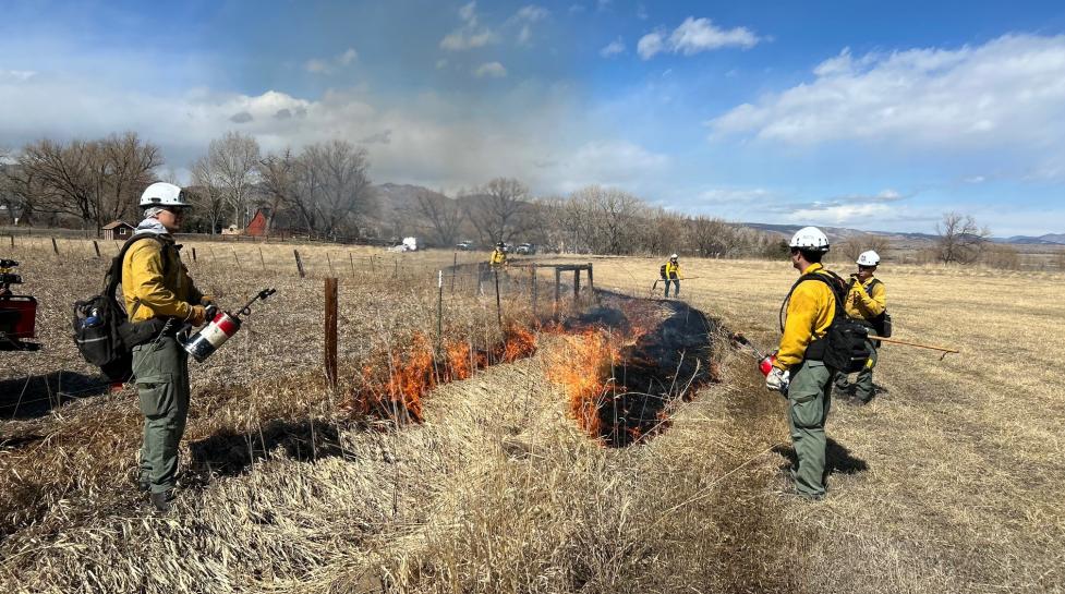 prescribed burn in open space March 5