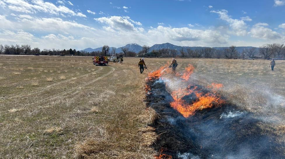 prescribed burn in open space March 5