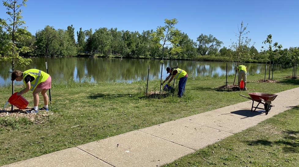 The Community Forestry Corps crew members planting trees