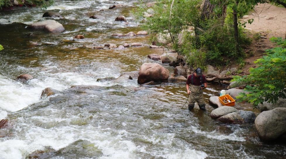 City staff monitoring E. coli levels in Boulder Creek