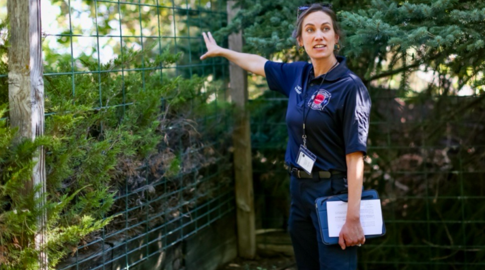 A specialist from Boulder Fire-Rescue stands next to fence and trees in a homeowners yard while conducting a Detailed Home assessment