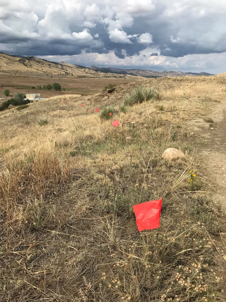 Red flags along a hillside marking the Cobalt Trail reroute