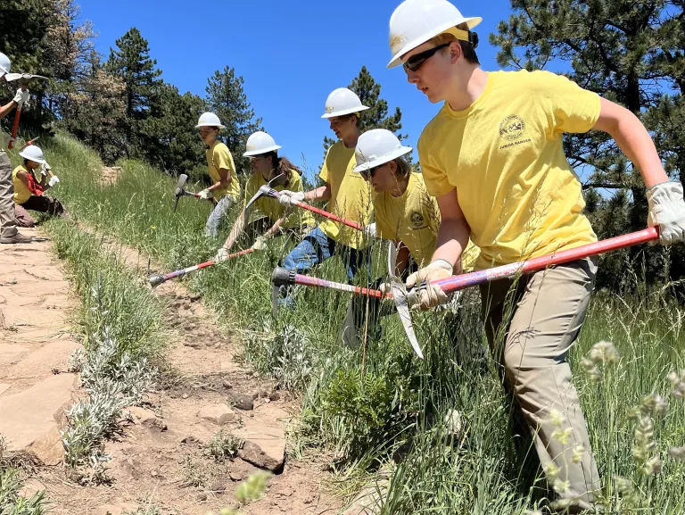 Junior Rangers fix trail braiding using hand tools.