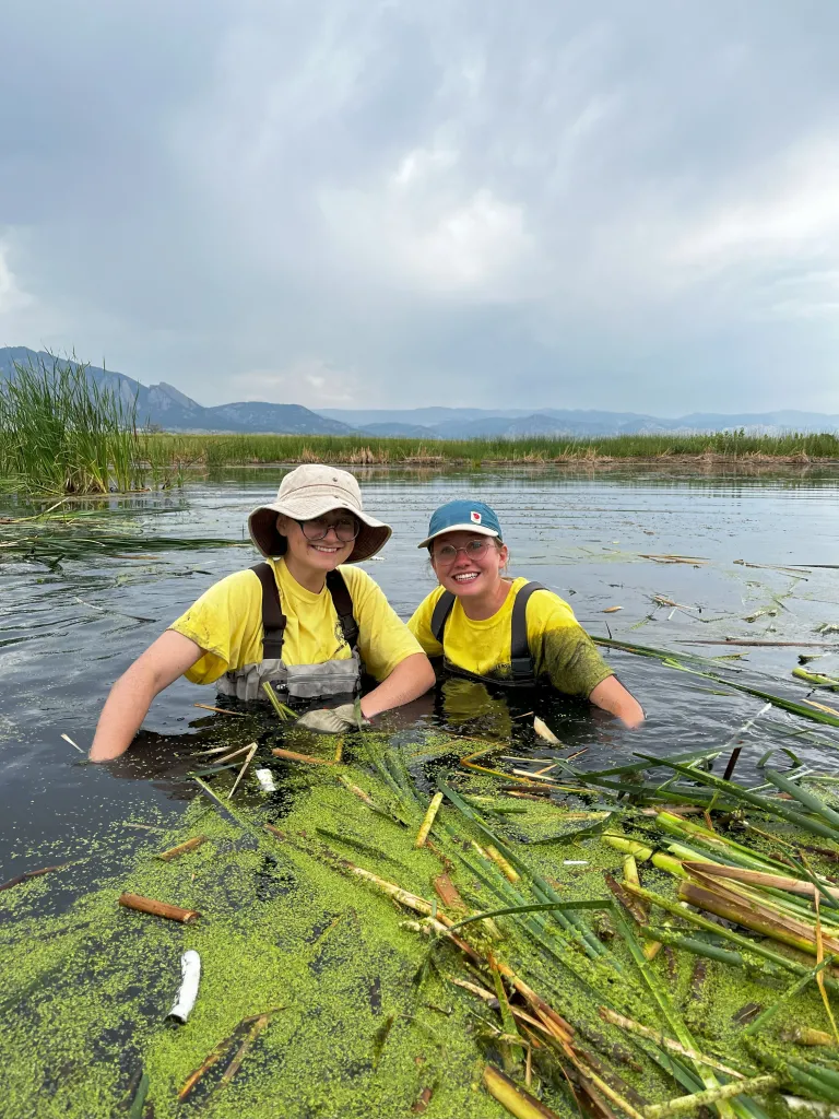 Junior Rangers stand in wetland pulling cattails