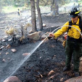 Firefighter conducting prescribed burn