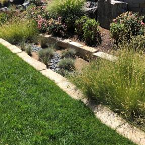 Residential Rain Gardens – Trailhead Homeowners