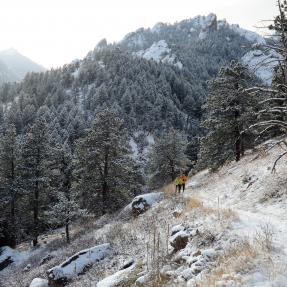 Hikers in snow 