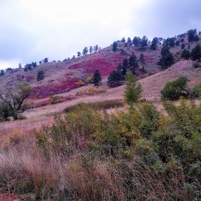 Sanitas Valley in Autumn