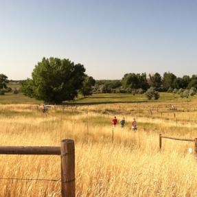 Runners on Teller Farm Trail