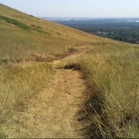 NCAR-Bear Connector Trail