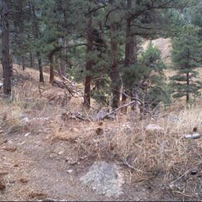 Plains Overlook Trail