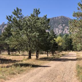 South Fork Shanahan Trail