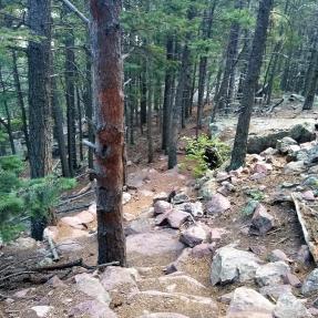 Shadow Canyon Trail