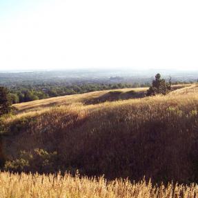 Ski Jump Trail