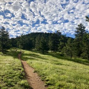 Tenderfoot Trail