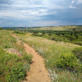 Towhee Trail in spring