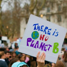 Photo of a protest, a hand holding a sign in the foreground.