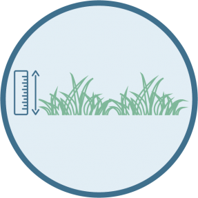 Let Grass Grow icon