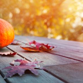 Pumpkins and Leaves on Wood Deck