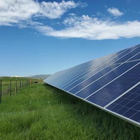 Solar panels sit in a field of green grass at the Boulder fire training center