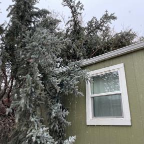 Wind storm damage