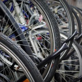 Bicycle wheels lined up in a row