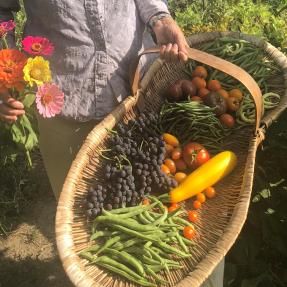 BeeChicas Garden Salad