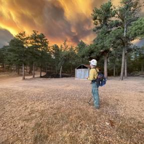 Wildland Glowing Cloud