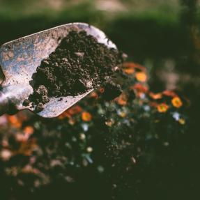 Gardening trowel tool sprinkling compost on a garden 