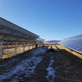 Two rows of solar panels in a field