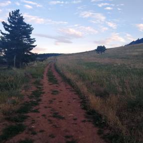 NCAR Table Mesa Bear Trail