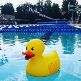 Great Boulder Duck Race is on August 28