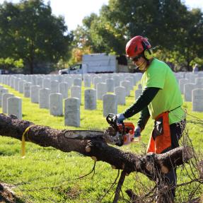 Saluting Branches event