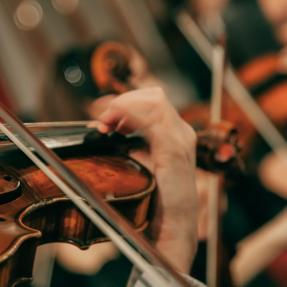 a bow rests on the strings of a violin