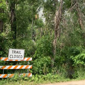 Tree work on Boulder Creek Path