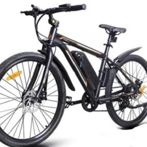 E-bike example