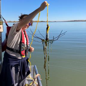 aquatic nuisance species at Boulder Reservoir