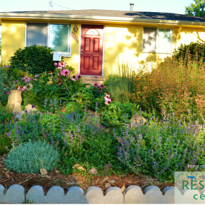 A water-efficient garden