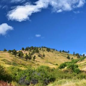 Open space north of Boulder where the North Sky Trail will be built