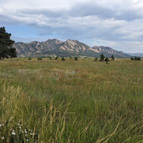 View of The Flatirons from Flatirons Vista North