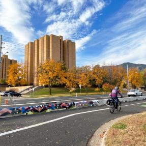 Person biking on Baseline Road near 32nd Street next to tall curbs with art.