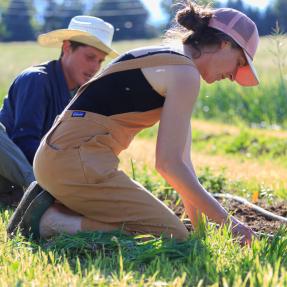 Two people working on a farm