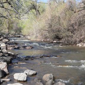 Boulder Creek by Eben G Fine park, low swift moving water over rocks