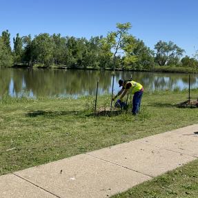 The Community Forestry Corps crew members planting trees