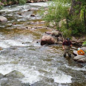 City staff monitoring E. coli levels in Boulder Creek