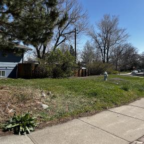 Path of green and brown kentucky bluegrass next to sidewalk