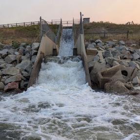 Boulder Reservoir's inlet from Boulder Creek