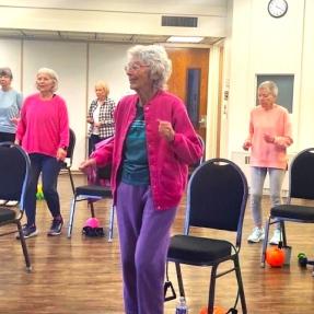 Older adults participating in a chair-based strength class.